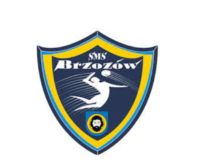 Logo SMS Brzozów