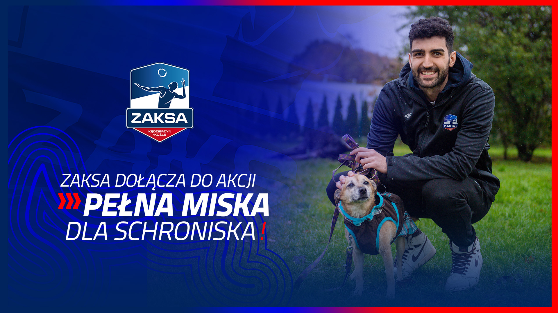 Pełna miska dla schroniska – ZAKSA dołącza do akcji!