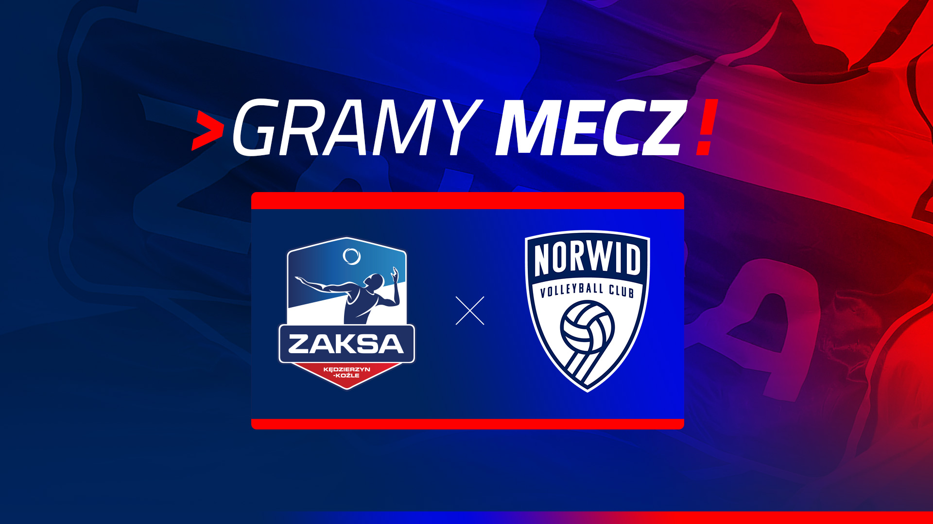 ZAKSA Kędzierzyn-Koźle – Steam Hemarpol Politechnika Częstochowa BILETY!