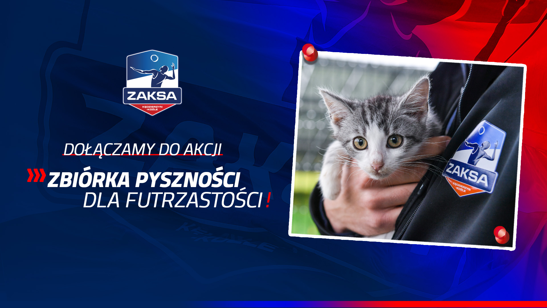 Zbiórka pyszności dla futrzastości – ZAKSA dołącza do akcji!